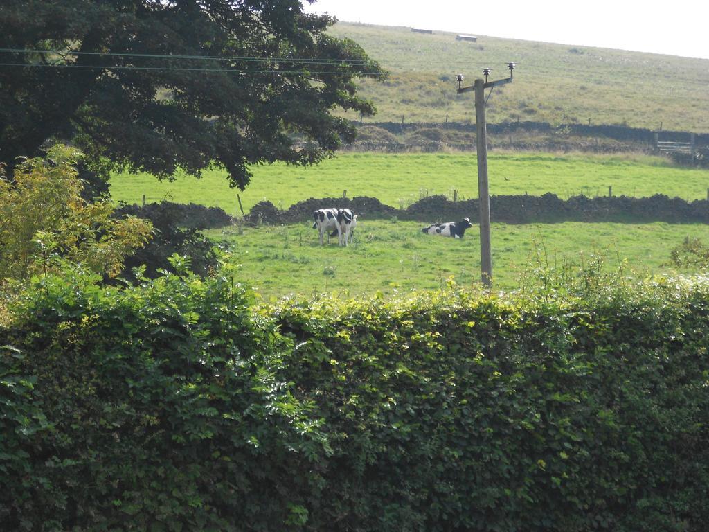 The Shady Oak B&B Whaley Bridge Exterior foto